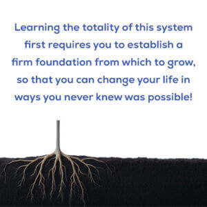 The Foundation